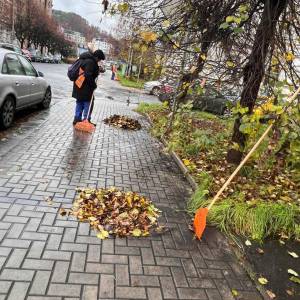 c2c1fe7a-5a64-4be6-b0d4-38083cbabcb1_compressed_original