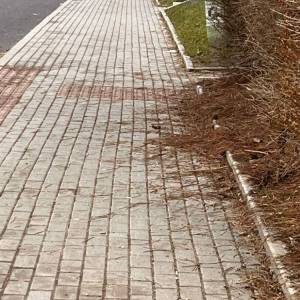 Komplexní úklid již úspěšně proběhl v lokalitě Březiny. Takto to vypadalo před ručním úklidem.